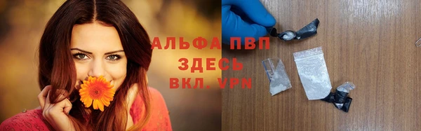 стаф Алексеевка