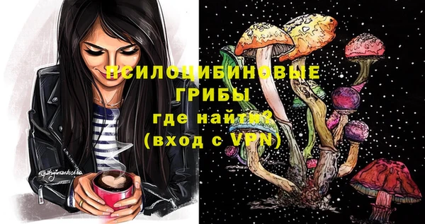 стаф Алексеевка
